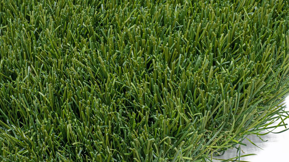 Odoo - Prueba 2 a tres columnas