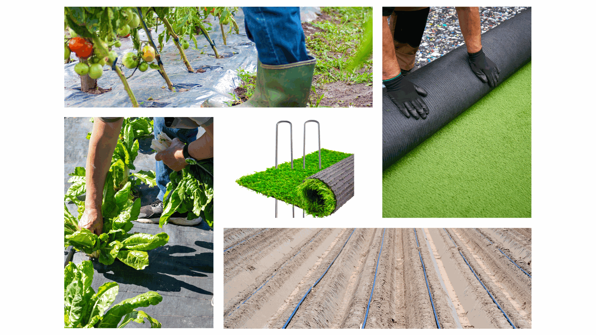 Odoo - Prueba 2 a tres columnas