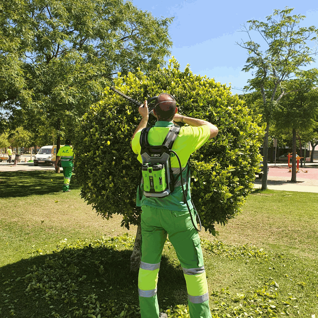 Odoo - Prueba 2 a tres columnas