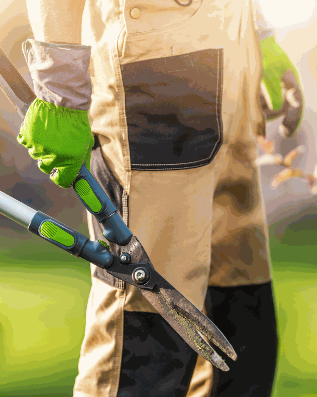 Odoo - Prueba 1 a tres columnas