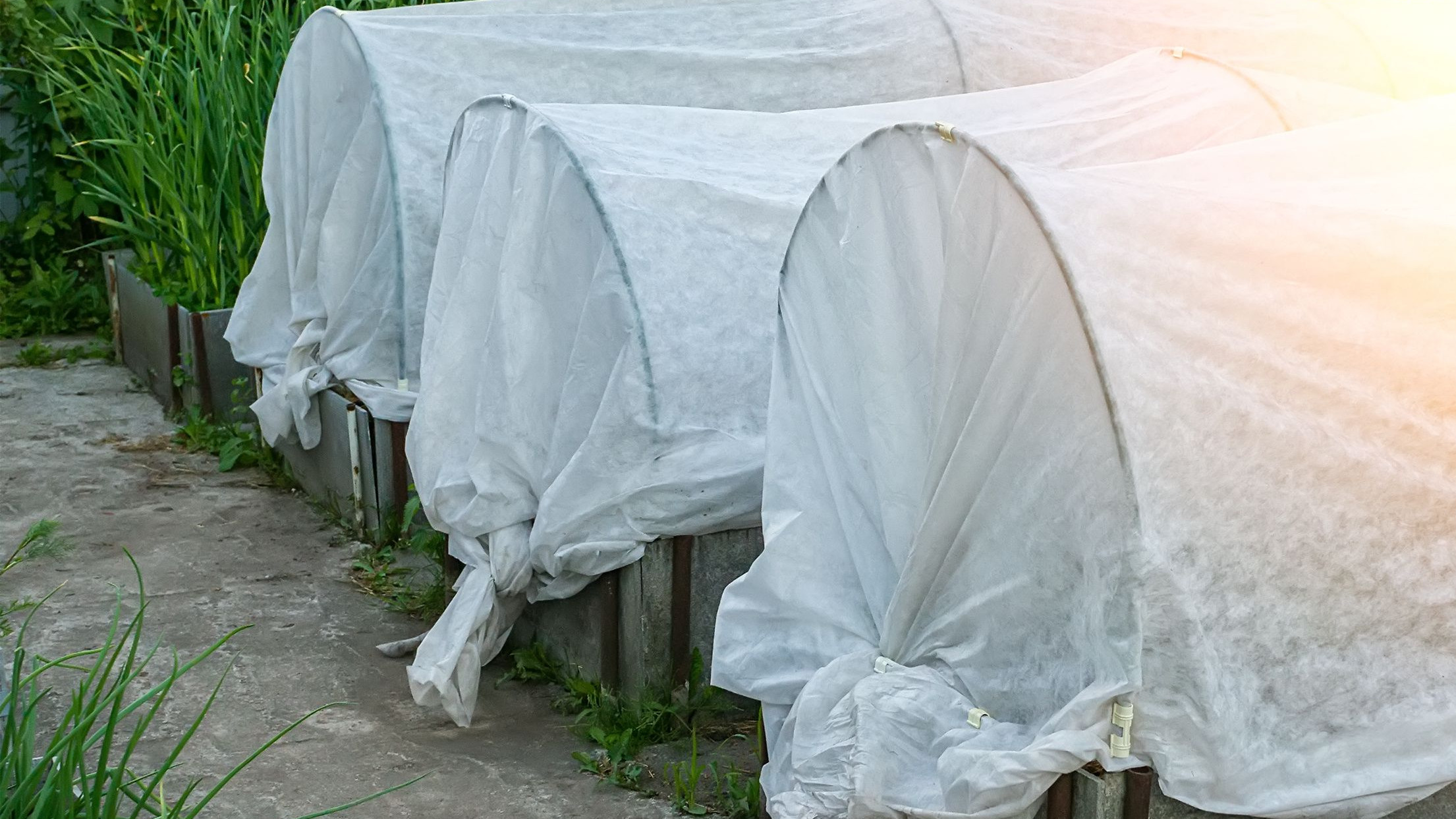 Odoo - Prueba 1 a tres columnas