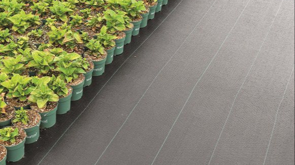 Odoo - Prueba 2 a tres columnas