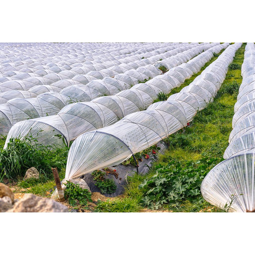 VARILLA PARA MICRO TÚNEL 2.800 UNIDADES