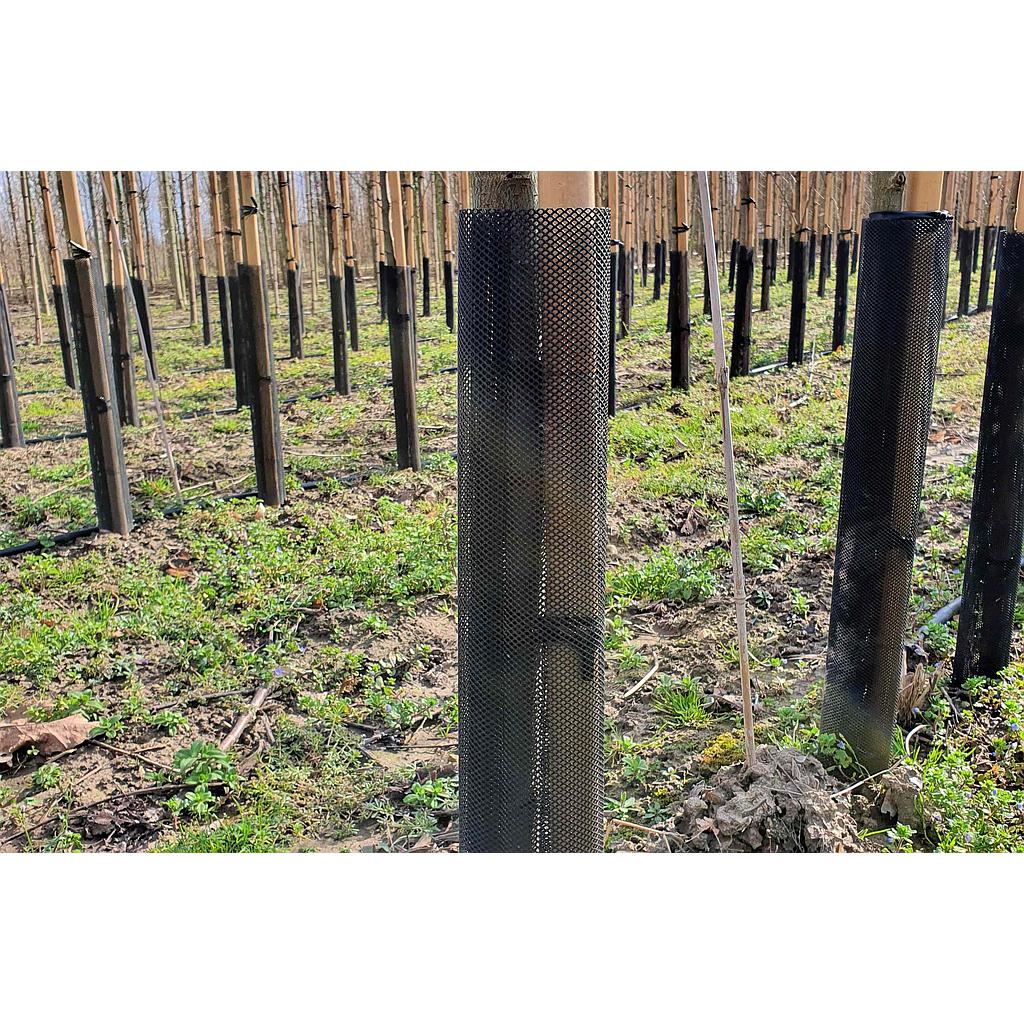 Protector de Árboles Flex Guard 6 x 55 cm - Caja de 200 uds