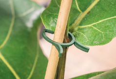 CLIPS PARA PLANTAS 16 MM DIÁMETRO