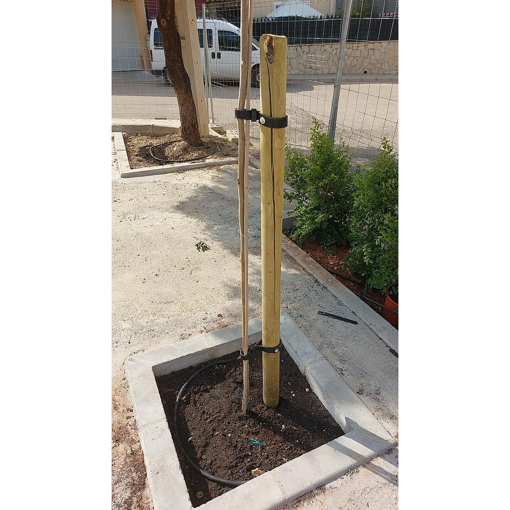 Tutor de Madera 2m x 8cm