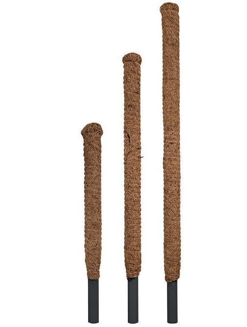 TUTOR FIBRA DE COCO para Plantas – Sostenible y Resistente