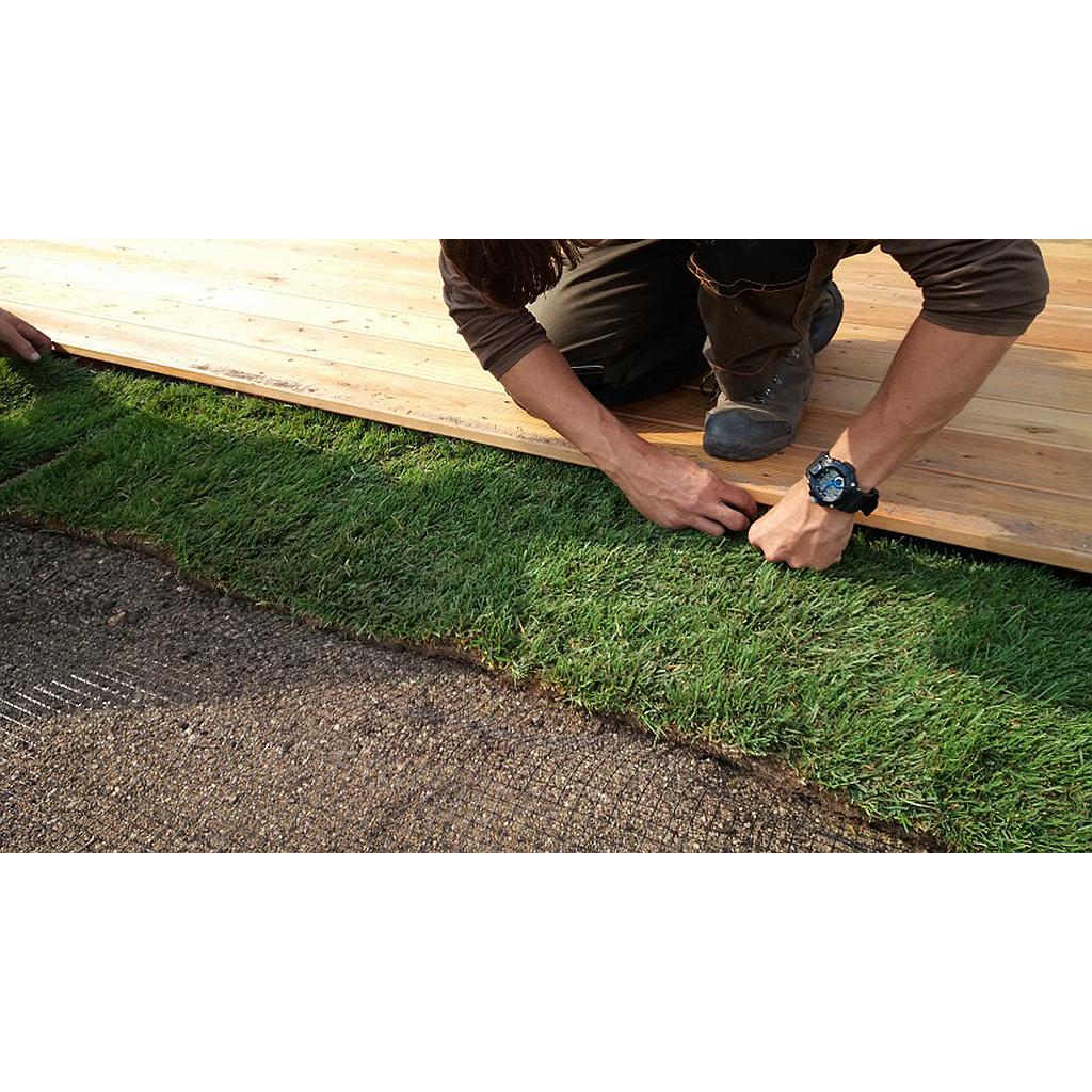 Malla Anti-Topos ENPILON - 12 x 12 mm | Rollo 200 x 1 m