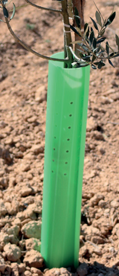 Protector de Árboles Tubo Abierto Perforado 80 cm - Caja de 160 uds