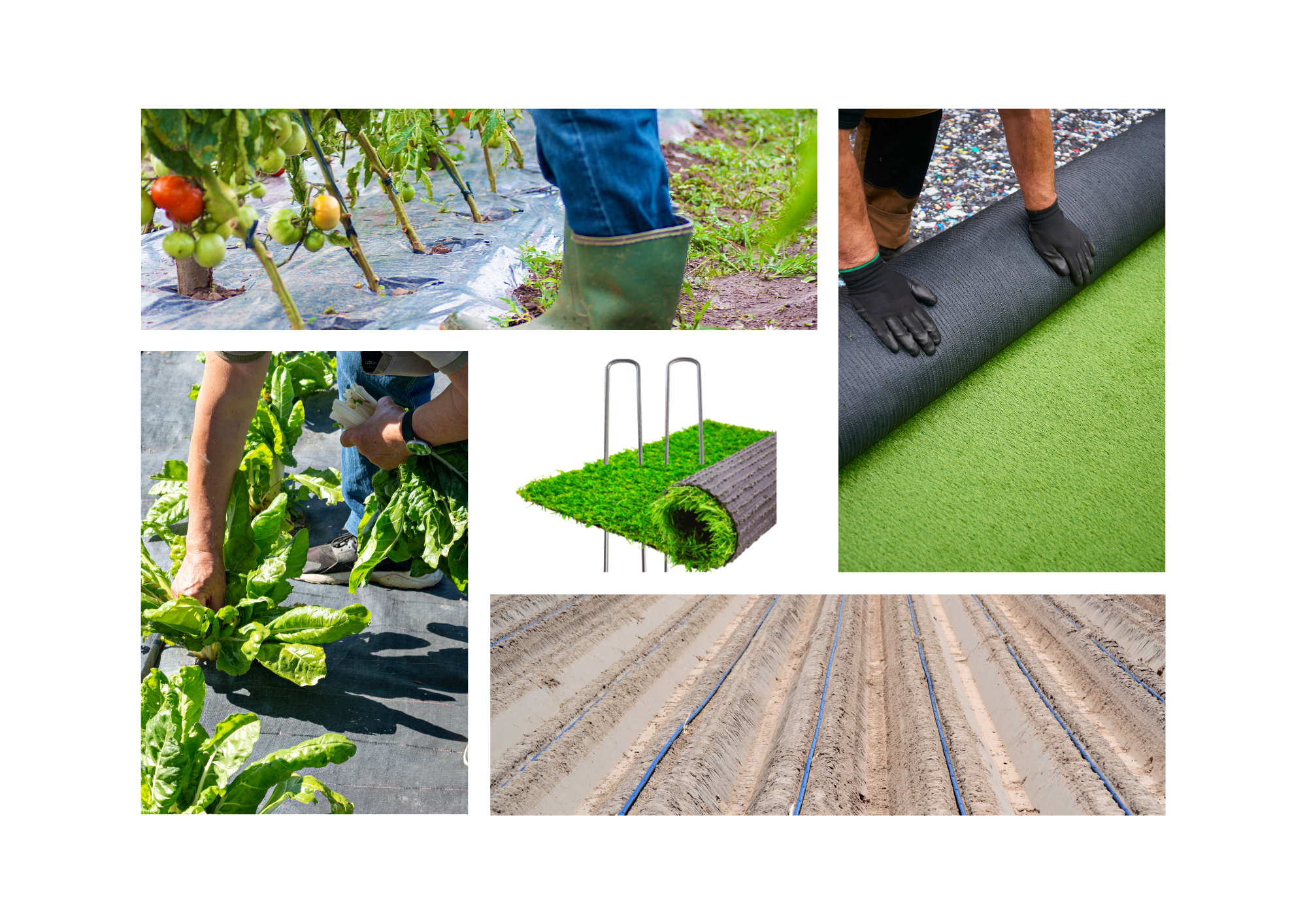 GRAPAS DE FIJACION  GREEN 15 X 3 X 15 BOLSA 100 UD.