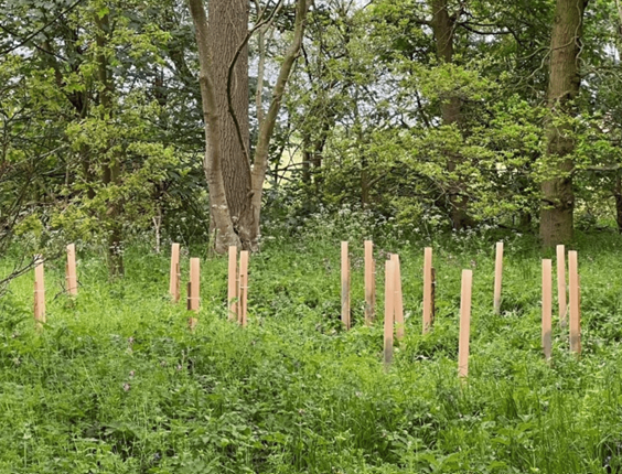 PROTECTOR ARBOSHIELD BIO 120CM