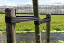 CINTURON DE ENTUTORAR PLANO