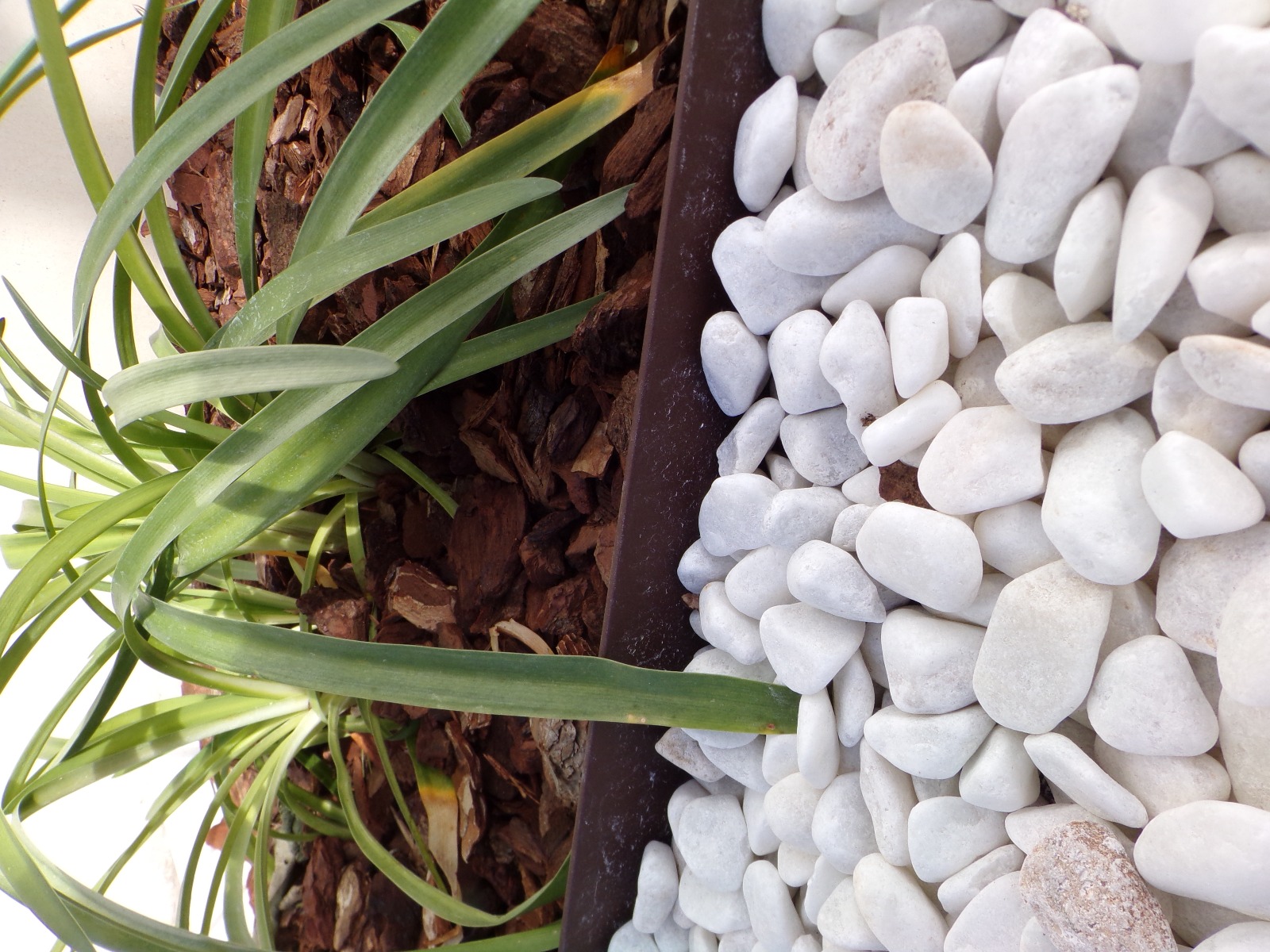 BORDURA FLEXIBLE ANTRACITA