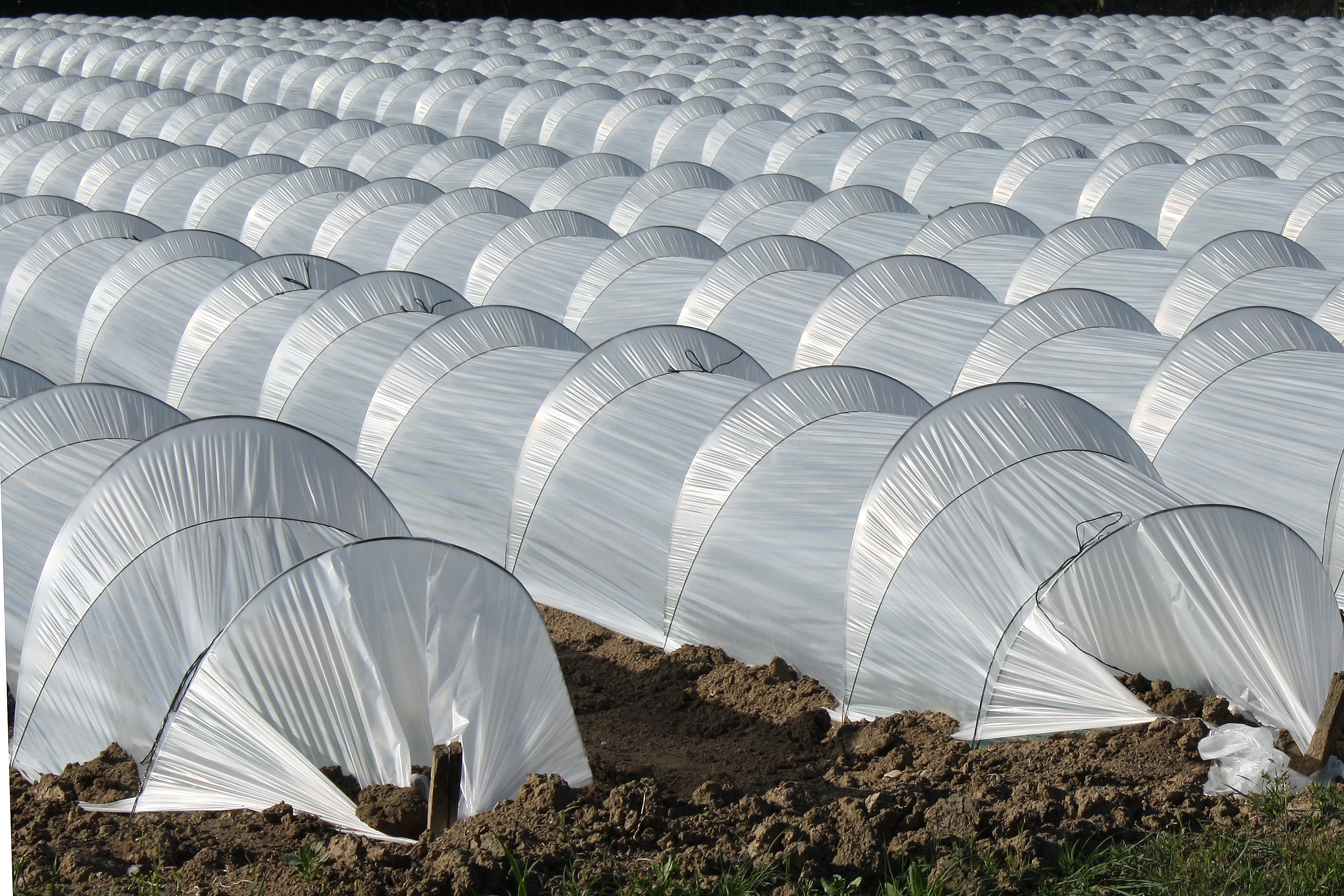 VARILLA PARA MICRO TÚNEL 3.000 UNIDADES