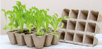 Semilleros Turba – 4 x 4 cm | 6 udes. Pack