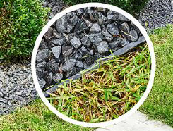 KIT GEO BORDURA 78 + GEO PIN 24 PACK 12 UD